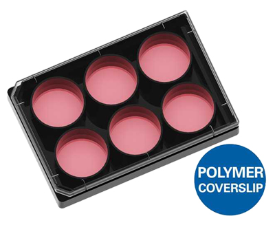 μ-Plate 6 Well高通量成像6孔培養板-80636 80631